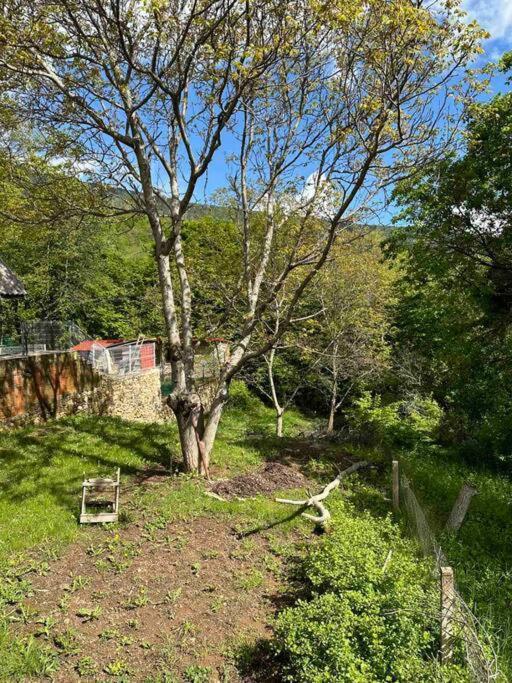 Cosy Mountain Villa In Nizepole Bitola Esterno foto