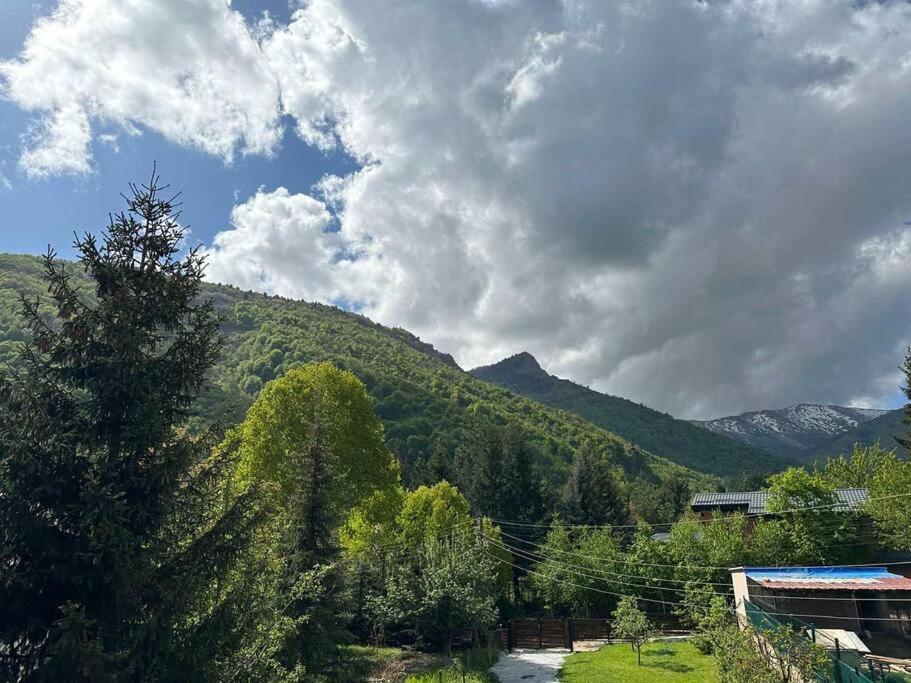 Cosy Mountain Villa In Nizepole Bitola Esterno foto